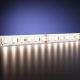 Светодиодная влагозащищенная лента Maytoni 9,6W/m 120LED/m 2835SMD дневной белый 5M 201046
