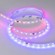Светодиодная лента Arlight 12W/m 60LED/m 5060SMD разноцветный 5М SPI-B60-10mm 24V 039180