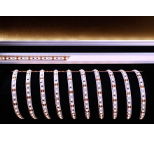 Лента светодиодная Deko-Light 3528-120-12V-3000K-5m 840165
