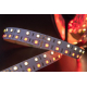Светодиодная лента SWG 28,8W/m 120LED/m 5050SMD RGB/ теплый белый 5M 901044