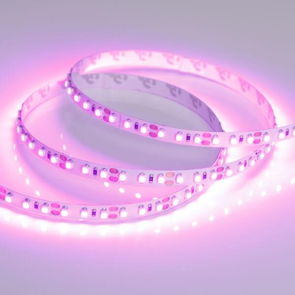 Светодиодная лента Arlight 9,6W/m 120LED/m 2835SMD розовый 5M 015897(2) Светодиодная лента Arlight 9,6W/m 120LED/m 2835SMD розовый 5M 015897(2)