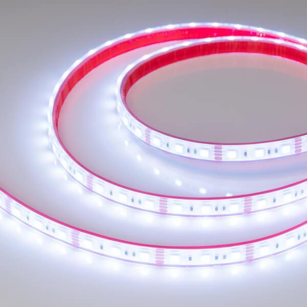 Светодиодная влагозащищенная лента Arlight 14,4W/m 60LED/m 5060SMD разноцветный 5M 033790 Светодиодная влагозащищенная лента Arlight 14,4W/m 60LED/m 5060SMD разноцветный 5M 033790