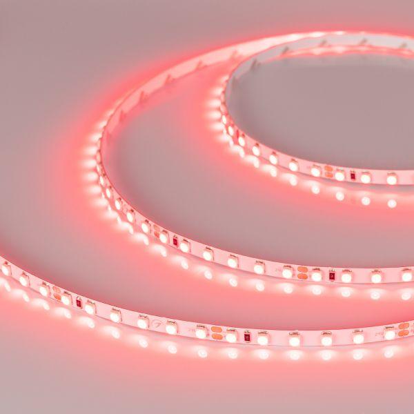 Светодиодная лента Arlight 9,6W/m 120LED/m 2835SMD красный 5M 015657(2) Светодиодная лента Arlight 9,6W/m 120LED/m 2835SMD красный 5M 015657(2)