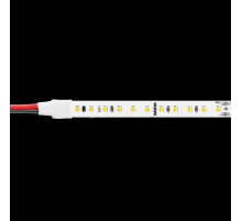 Светодиодная лента WOLTA WLS2835-10W/6500/48H120-01