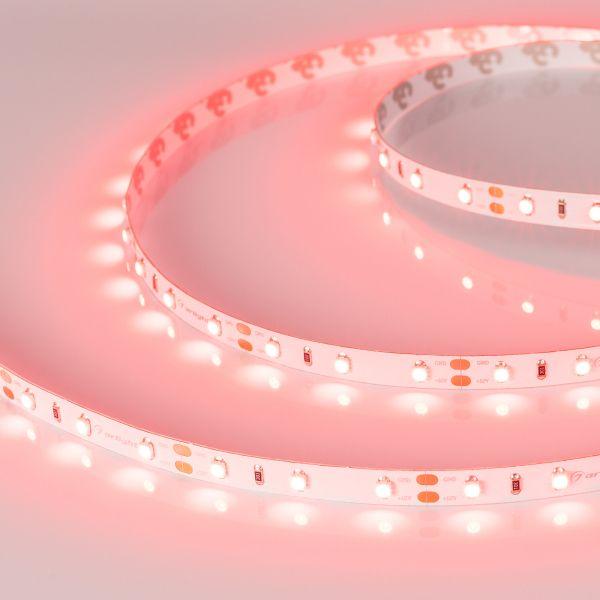 Светодиодная лента Arlight 4,8W/m 60LED/m 2835SMD красный 5M 010526(2) Светодиодная лента Arlight 4,8W/m 60LED/m 2835SMD красный 5M 010526(2)