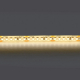 Светодиодная влагозащищенная лента Lightstar 14W/m 180LED/m дневной белый 5M 421054