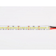 Светодиодная лента Ambrella Light 18W/m 240LED/m 2835SMD теплый белый 5M GS3301