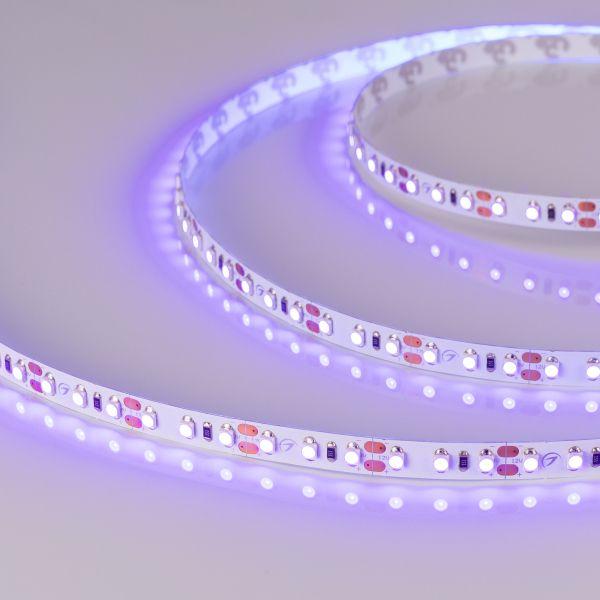 Светодиодная лента Arlight 9,6W/m 120LED/m 2835SMD ультрафиолет 5M 012812(2) Светодиодная лента Arlight 9,6W/m 120LED/m 2835SMD ультрафиолет 5M 012812(2)
