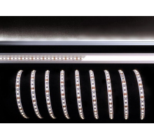 Лента светодиодная Deko-Light 3528-120-12V-4000K-5m 840166