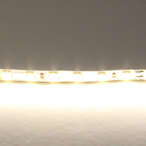 Светодиодная лента Lightstar 12W/m 120LED/m дневной белый 5M 420504 Светодиодная лента Lightstar 12W/m 120LED/m дневной белый 5M 420504