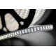 Светодиодная влагозащищенная лента SWG 20W/m 240LED/m 3014SMD холодный белый 50M 001756