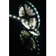 Светодиодная лента SWG 20W/m 60LED/m 5630SMD холодный белый 5M 900534