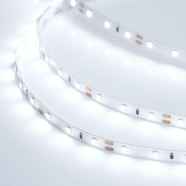 Светодиодная лента Arlight 4,8W/m 60LED/m 2835SMD холодный белый 5M 014884(2) Светодиодная лента Arlight 4,8W/m 60LED/m 2835SMD холодный белый 5M 014884(2)