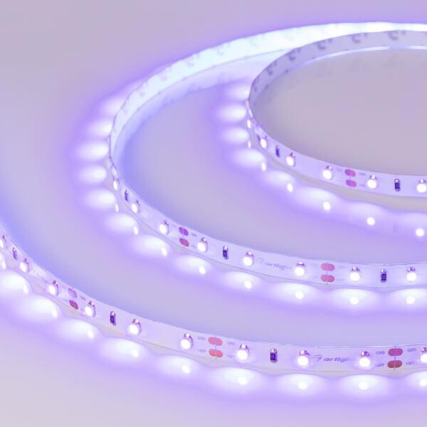 Светодиодная лента Arlight 4,8W/m 60LED/m 2835SMD ультрафиолет 5M 012813(2) Светодиодная лента Arlight 4,8W/m 60LED/m 2835SMD ультрафиолет 5M 012813(2)