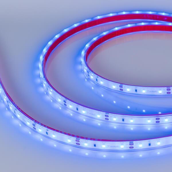 Светодиодная влагозащищенная лента Arlight 4,8W/m 60LED/m 2835SMD синий 5M 034012 Светодиодная влагозащищенная лента Arlight 4,8W/m 60LED/m 2835SMD синий 5M 034012