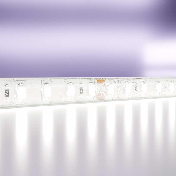 Светодиодная влагозащищенная лента Maytoni Technical 9,6W/m 120LED/m 2835SMD холодный белый 5M 10147 Светодиодная влагозащищенная лента Maytoni Technical 9,6W/m 120LED/m 2835SMD холодный белый 5M 10147