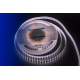 Светодиодная влагозащищенная лента DesignLed 28,8W/m 120LED/m 5050SMD нейтральный белый 5M 001133