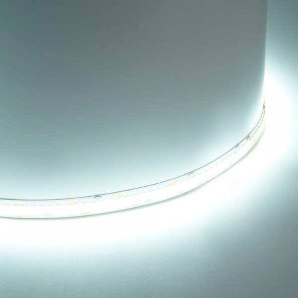Светодиодная лента Feron 22W/m 240LED/m 2835SMD холодный белый 5М LS503 48831 Светодиодная лента Feron 22W/m 240LED/m 2835SMD холодный белый 5М LS503 48831