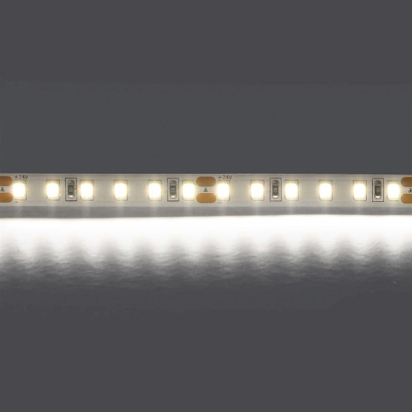 Светодиодная лента Lightstar 12W/m 120LED/m холодный белый 5M 420805 Светодиодная лента Lightstar 12W/m 120LED/m холодный белый 5M 420805