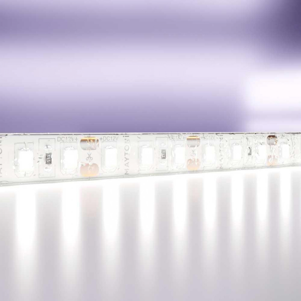 Светодиодная влагозащищенная лента Maytoni Technical 9,6W/m 120LED/m 2835SMD холодный белый 5M 10113 Светодиодная влагозащищенная лента Maytoni Technical 9,6W/m 120LED/m 2835SMD холодный белый 5M 10113