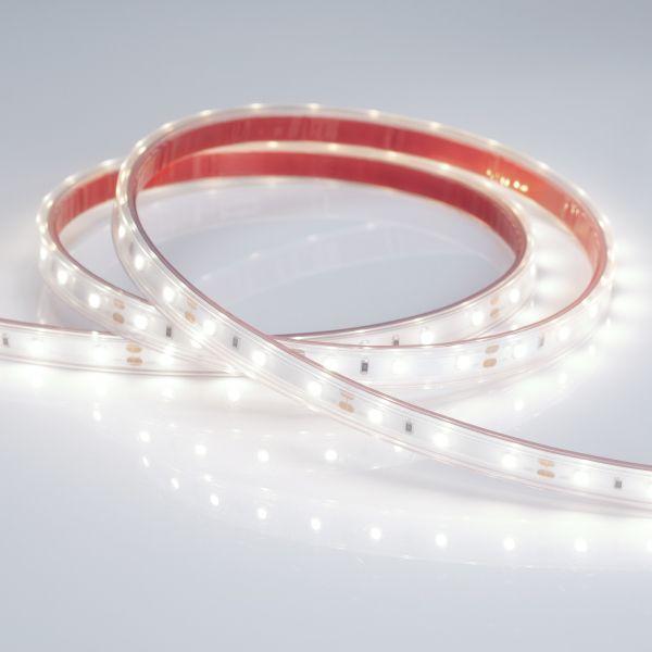 Светодиодная влагозащищенная лента Arlight 4,8W/m 60LED/m 2835SMD холодный белый 5M 021099(2) Светодиодная влагозащищенная лента Arlight 4,8W/m 60LED/m 2835SMD холодный белый 5M 021099(2)
