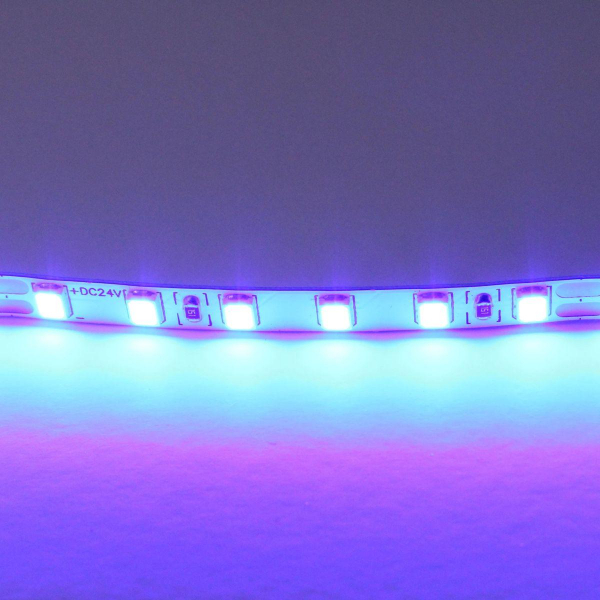 Светодиодная лента Lightstar 12W/m 120LED/m синий 5M 420515 Светодиодная лента Lightstar 12W/m 120LED/m синий 5M 420515