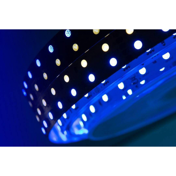 Светодиодная влагозащищенная лента DesignLed 28,8W/m 120LED/m 5050SMD разноцветный/холодный белый 5M 000514 Светодиодная влагозащищенная лента DesignLed 28,8W/m 120LED/m 5050SMD разноцветный/холодный белый 5M 000514