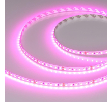 Светодиодная лента Arlight 6W/m 120Led/m 2835SMD пурпурно-розовый 5M RT-A120-8mm 24V Magenta 043381