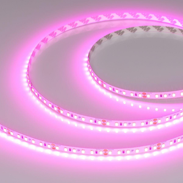 Светодиодная лента Arlight 6W/m 120Led/m 2835SMD пурпурно-розовый 5M RT-A120-8mm 24V Magenta 043381 Светодиодная лента Arlight 6W/m 120Led/m 2835SMD пурпурно-розовый 5M RT-A120-8mm 24V Magenta 043381