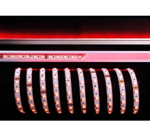 Лента светодиодная Deko-Light 5050-60-24V-RGB-5m 840254