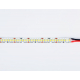 Светодиодная лента Ambrella Light 18W/m 240LED/m 2835SMD холодный белый 5M GS3303
