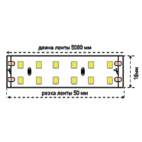 Светодиодная лента SWG 19,2W/m 240Led/m 3528SMD холодный белый 5M SWG3240-24-19.2-W-М 009249