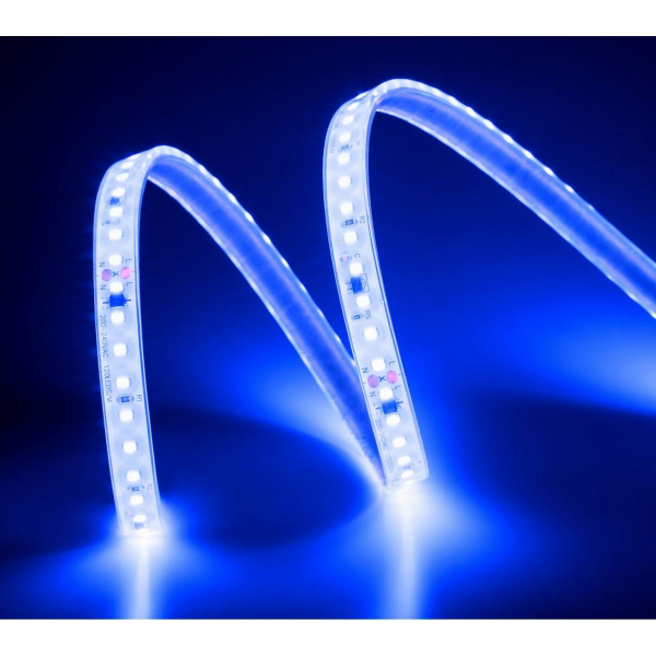 Лента светодиодная ELFLED 120SMD диодов (2835), 220В, IP67, 1м, синий ELFLED-120SMD2835HVB Лента светодиодная ELFLED 120SMD диодов (2835), 220В, IP67, 1м, синий ELFLED-120SMD2835HVB