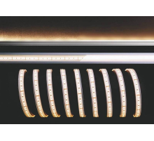 Лента светодиодная Deko-Light 3528-180-24V-3000K-5m-silicon 840187