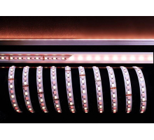 Лента светодиодная Deko-Light 5050-96-24V-RGB+4200K-5m 840216
