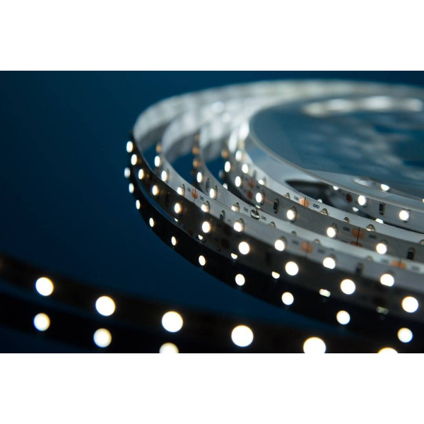 Светодиодная влагозащищенная лента DesignLed 4,8W/m 60LED/m 3528SMD холодный белый 5M 000524