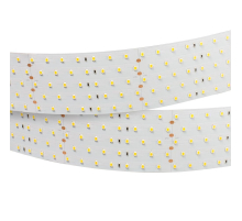 Светодиодная лента Arlight 36W/m 350LED/m 2835SMD холодный белый 2,5M 019083(1)