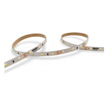 Светодиодная лента WOLTA WLS2835-6W/6500/24H60-01