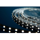 Светодиодная влагозащищенная лента DesignLed 4,8W/m 60LED/m 3528SMD холодный белый 5M 000524