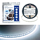 Светодиодная лента Feron 11W/m 120LED/m 2835SMD 6500К 5M свободный рез LS506 53059