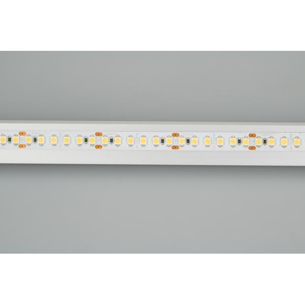 Светодиодная лента Arlight 14,4W/m 180LED/m 3528SMD белый 5M 017429(2) Светодиодная лента Arlight 14,4W/m 180LED/m 3528SMD белый 5M 017429(2)