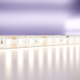 Светодиодная влагозащищенная лента Maytoni Technical 14,4W/m 120LED/m 2835SMD дневной белый 5M 10118