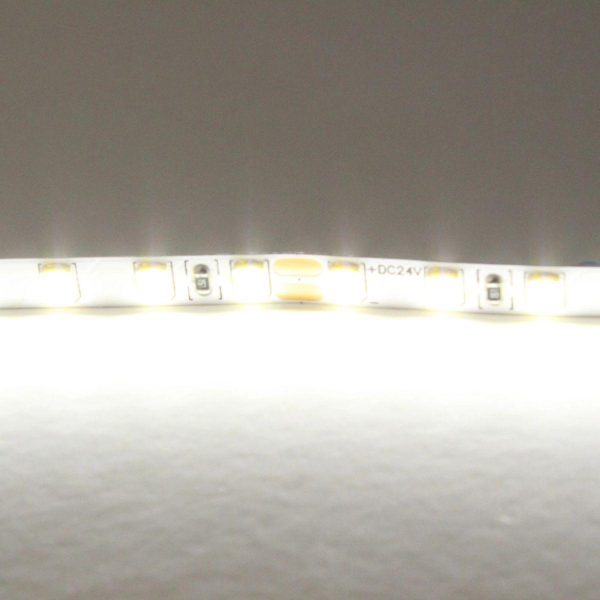 Светодиодная лента Lightstar 12W/m 120LED/m холодный белый 5M 420505 Светодиодная лента Lightstar 12W/m 120LED/m холодный белый 5M 420505