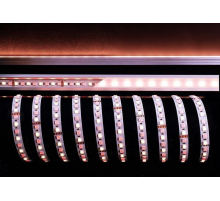 Лента светодиодная Deko-Light 5050-96-24V-RGB+4200K-5m 840216