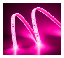 Лента светодиодная ELFLED 120SMD диодов (2835), 220В, IP67, 1м, розовый ELFLED-120SMD2835HVP