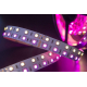 Светодиодная лента SWG 28,8W/m 120LED/m 5050SMD RGB/ теплый белый 5M 901044