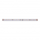 Светодиодная влагозащищенная лента DesignLed 10W/m 98LED/m 2835SMD нейтральный белый 5M 000526