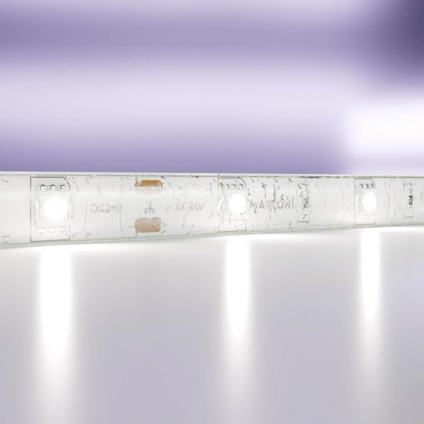 Светодиодная влагозащищенная лента Maytoni Technical 7,2W/m 30LED/m 5050SMD холодный белый 5M 10165 Светодиодная влагозащищенная лента Maytoni Technical 7,2W/m 30LED/m 5050SMD холодный белый 5M 10165