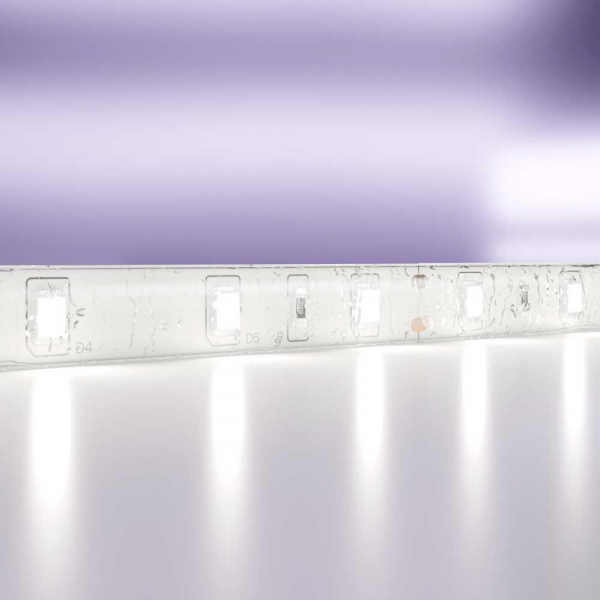 Светодиодная влагозащищенная лента Maytoni Technical 4,8W/m 60LED/m 2835SMD холодный белый 5M 10141 Светодиодная влагозащищенная лента Maytoni Technical 4,8W/m 60LED/m 2835SMD холодный белый 5M 10141