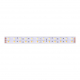 Светодиодная влагозащищенная лента DesignLed 28,8W/m 120LED/m 5050SMD разноцветный/теплый белый 5M 001134